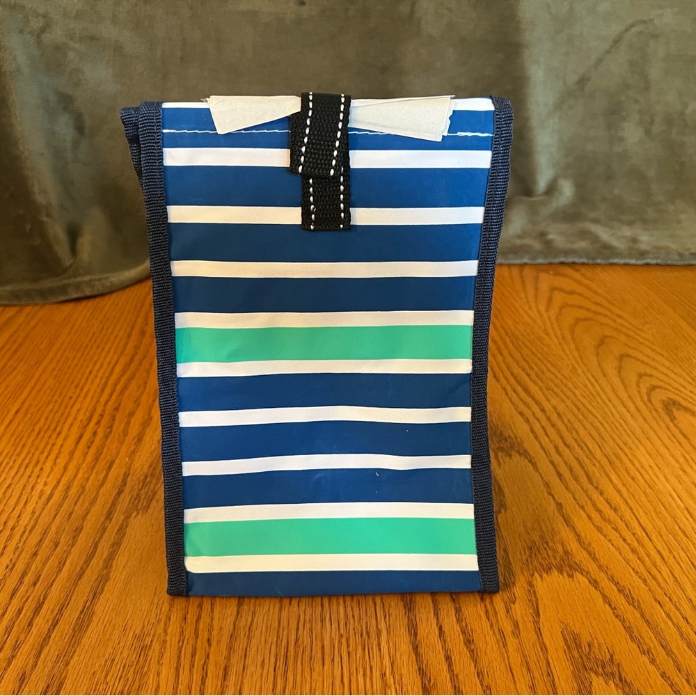 Scout Royal Blue & Mint Green Stripe Insulated Doggie Bag Lunch Cooler